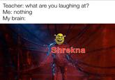 A Truly Cringe Meme For You Guys Teacher: what are you laughing at? Me: nothing My brain: Shrekna