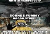 Elephant's Foot? Sounds Yummy