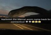Nahhhhh the eternal worm came back for connecticut