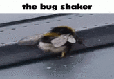 the bug shaker