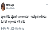Marella Gayla @MarellaGayla ... open letter against cancel culture = wall painted like a tunnel, for people with phds 8:46 AM Feb 9, 2022 Twitter Web App