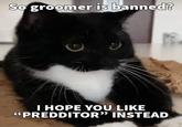 So groomer is banned? I HOPE YOU LIKE "PREDDITOR" INSTEAD