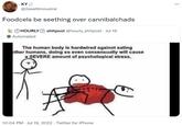 KY @2seatlimousine Foodcels be seething over cannibalchads HOURLY shitpost @hourly_shitpost · Jul 19 Automated The human body is hardwired against eating other humans, doing so even consensually will cause a SEVERE amount of psychological stress. 10:04 PM Jul 19, 2022 Twitter for iPhone . 0: ...