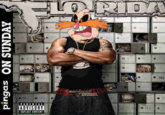flo rida really sucks. pingas makes it better.