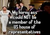 My horny ass could NOT be a member of the US house of representatives