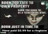 BORN TOO LATE TO OWN PROPERTY BORN TOO SOON TO BE A TEEN TIKTOK STAR BORN JUST IN TIME TO Have paid $0.99 for a ringtone