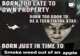BORN TOO LATE TO OWN PROPERTY BORN TOO SOON TO BE A TEEN TIKTOK STAR BORN JUST IN TIME TO Smoke weed out of an apple