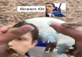 Green Or