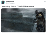 Iron Pineapple @IronPineapple_ "Yeah okay. This is COMPLETELY normal."