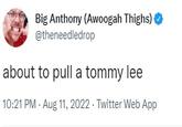 Big Anthony (Awoogah Thighs) @theneedledrop about to pull a tommy lee 10:21 PM - Aug 11, 2022. Twitter Web App