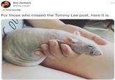 Ron Zertnert @Vela_Dead Good morning For those who missed the Tommy Lee post, here it is. ⠀