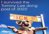 I survived the Tommy Lee dong post of 2022 D--- ST NICI DIGS