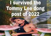 I survived the Tommy Lee dong post of 2022