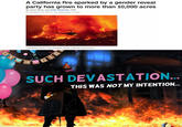 ΟΥ A California fire sparked by a gender reveal party has grown to more than 10,000 acres By Sarah Moon and Hollie Silverman, CNN Updated 4:46 PM ET, Tue September 8, 2020 Firefighters battle a fire sparked during a gender reveal party. OR G Cons R SUCH DEVASTATION... THIS WAS NOT MY INTENTION...