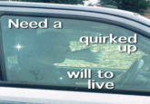Need a quirked up will to live