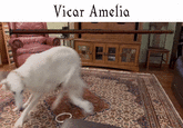 Bloodborne Vicar Amelia 1000