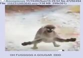 Anonymous 11/15/20 (Sun)15:29:52 No.47292494 File: 1102312493845.png (138 KB, 299x301) OH FUGGGGG A GOUGAR :DDD