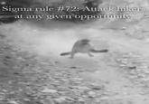 Sigma rule #72: Attack hikers at any given opportunity.