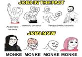Anaerobic bacteria JOBS IN THE PAST Aerobic bacteria Photosyntetic bacteria JOBS NOW MONKE MONKE MONKE MONKE