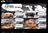 baby coffin @coolcat I hate Fat ass dogs even me? ami Fat ur tweet :( imgflip.com 2:56 PM. Apr 20, 2020 - Twitter for iPhone 4,518 Retweets 121 Quote Tweets 27.1K Likes : whatd i do u hate me? did i do something