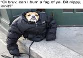 "Oi bruv, can I bum a f-- of ya. Bit nippy, innit?"