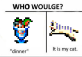 WHO WOULGE? "dinner" It is my cat.