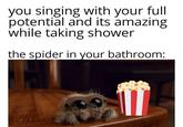 you singing with your full potential and its amazing while taking shower the spider in your bathroom: