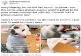 quirked up white boy @ShyGus every Monday for the last like month on tiktok I see this cat licking a graham cracker and it's gotten to the point where mondays are officially "Gandalf licks a graham cracker day" i don't know the context nor do I want to know it, I just look forward to it every week. Mondays are very special days for Gandalf Every Monday, she gets to lick a graham cracker @indooroutdoorkat 42.0K 367 ... 1065 1:33 PM. Feb 21, 2022. Twitter for iPhone 91.4K 7945 8