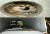 THE LAST PRINGLE ME