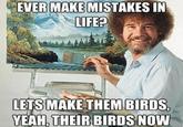 EVER MAKE MISTAKES IN LIFE? LETS MAKE THEM BIRDS, YEAH, THEIR BIRDS NOW