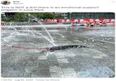Britt @brimil This is NOT a drill there is an emotional support alligator in Love Park 1:46 PM - Aug 26, 2022 - Twitter for iPhone LOV LOVE PARK VEN LOVE ARK THE PARK THAT LOVES www BACK LOV PARI