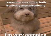 I consume everything both ironically and unironically I'm very complex
