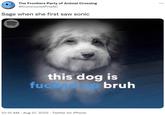 The Frontiers Party of Animal Crossing @Communist PrtyAC Sage when she first saw sonic (((( this dog is f----- to bruh 10:15 AM. Aug 27, 2022. Twitter for iPhone :