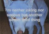 I'm neither joking nor serious but another secret third thing