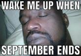 WAKE ME UP WHEN SEPTEMBER ENDS