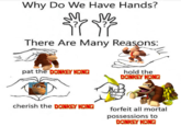 Why Do We Have Hands There Are Many Reasons Know Your Meme