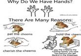 pat the cheem Why Do We Have Hands? MM There Are Many Reasons: pat the cheems library_of_rare_menies cherish the cheems G hold the cheem pay the Cheems the f------ money you owe him before you get Bonk'd in the kneecaps