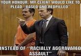 YOUR HONOUR, MY CLIENT WOULD LIKE TO PLEAD "BASED AND REDPILLED" INSTEAD OF "RACIALLY AGGRAVATED ASSAULT"