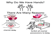 Why Do We Have Hands There Are Many Reasons Know Your Meme