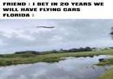we will wait for the car | /r/memes FRIEND: I BET IN 20 YEARS WE WILL HAVE FLYING CARS FLORIDA: made with mematic