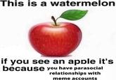 This is a watermelon if you see an apple it's because you have parasocial relationships with meme accounts