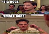 *BIG DOGS I don't wanna fight you *SMALL DOGS Ci033 Yeah, i don't wanna fight me neither