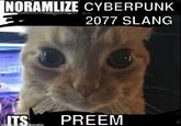 NORAMLIZE CYBERPUNK 2077 SLANG ITS made with mematic PREEM