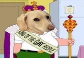 King of the gay people We love you Funny homophobic dog
