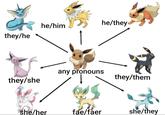 they/he he/him they/she / she/her any pronouns he/they fae/faer they/them she/they