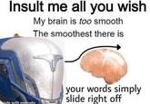 Insult me all you wish My brain is too smooth The smoothest there is made with mematic your words simply slide right off