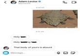 < P 21 Adam Levine adamlevine Holy fok 9:48 AM 9:50 AM Holyfing fok Message... That body of yours is absurd می