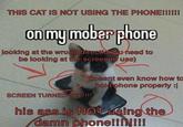 THIS CAT IS NOT USING THE PHONE!!!!!! on my mober phone looking at the wrong direction (u need to be looking at the screen to use) doesnt even know how to hold phone properly :| SCREEN TURNED OFF!!!! his ass is NOT using the damn phone!!!!!!!!