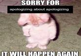 SORRY FOR apologizing about apologizing IT WILL HAPPEN AGAIN