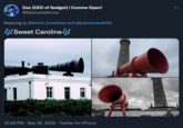 Dex (CEO of Gadget) | Comms Open! @DextremeArrow Replying to @komm_breakfast and @joemamanetflix JJSweet Caroline J 12:59 PM . Sep 26, 2022. Twitter for iPhone :